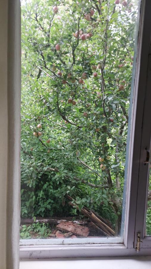 La Heim Hostels Manali  Bagian luar foto
