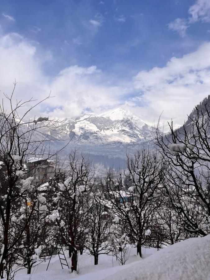 La Heim Hostels Manali  Bagian luar foto