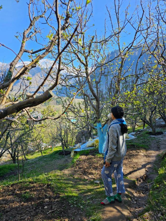 La Heim Hostels Manali  Bagian luar foto